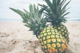 Tropical pineapples on the beach